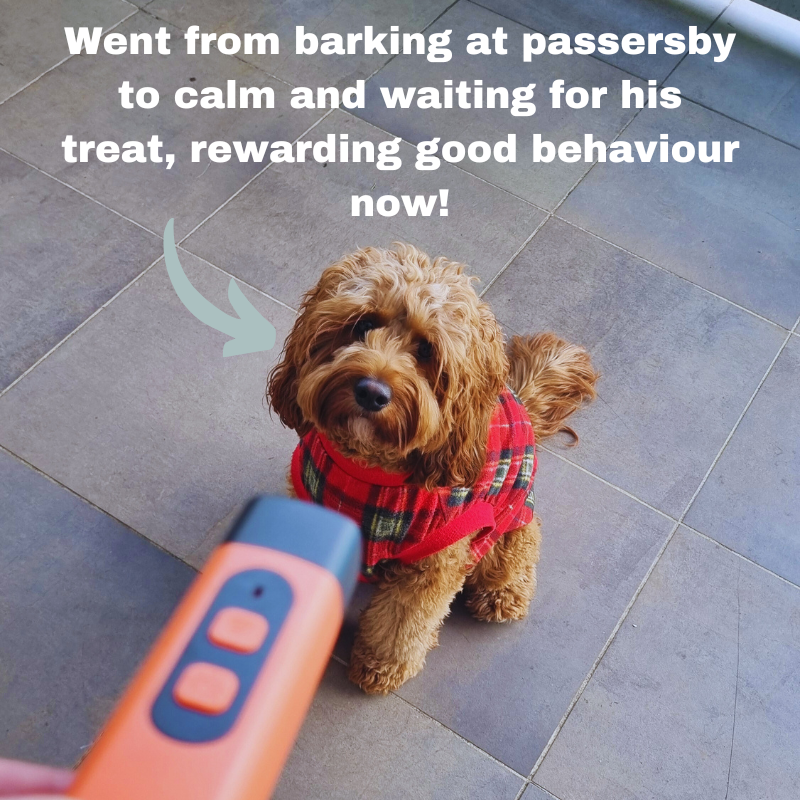 Ultrasonic Dog Repeller Barking Devices