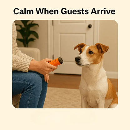 Ultrasonic Dog Repeller Barking Devices