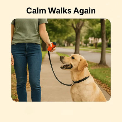 Ultrasonic Dog Repeller Barking Devices